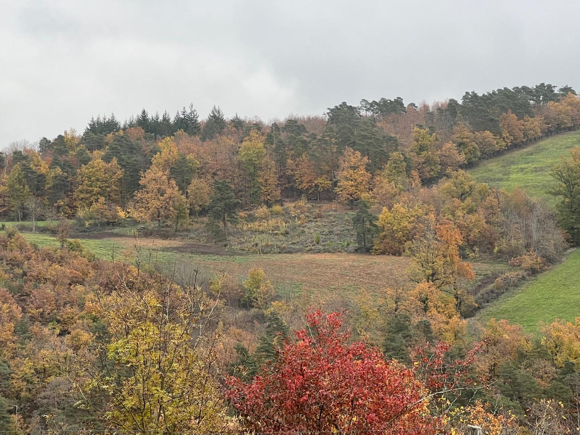 Maison D'Hotes L'Escale Du Loup Blanc Maringes ภายนอก รูปภาพ